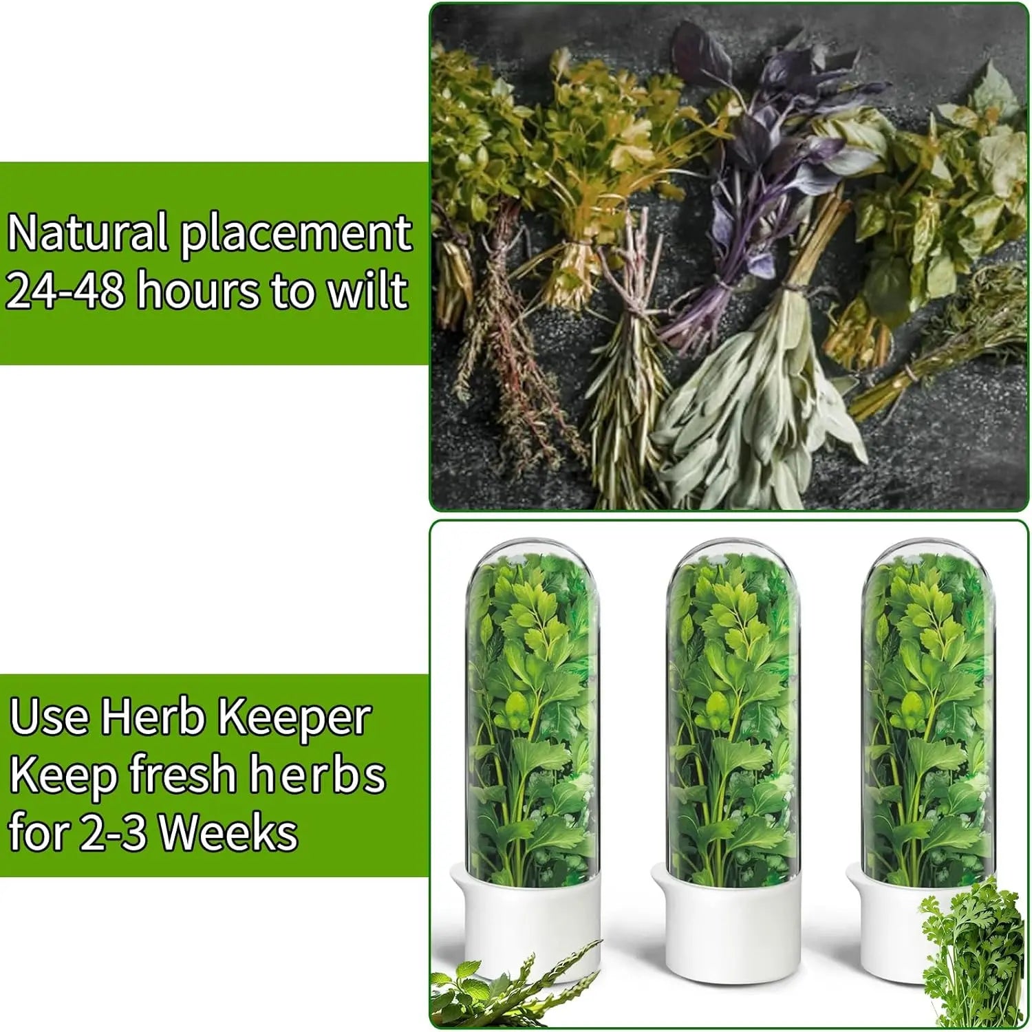 FreshPod Herb Keeper HADD