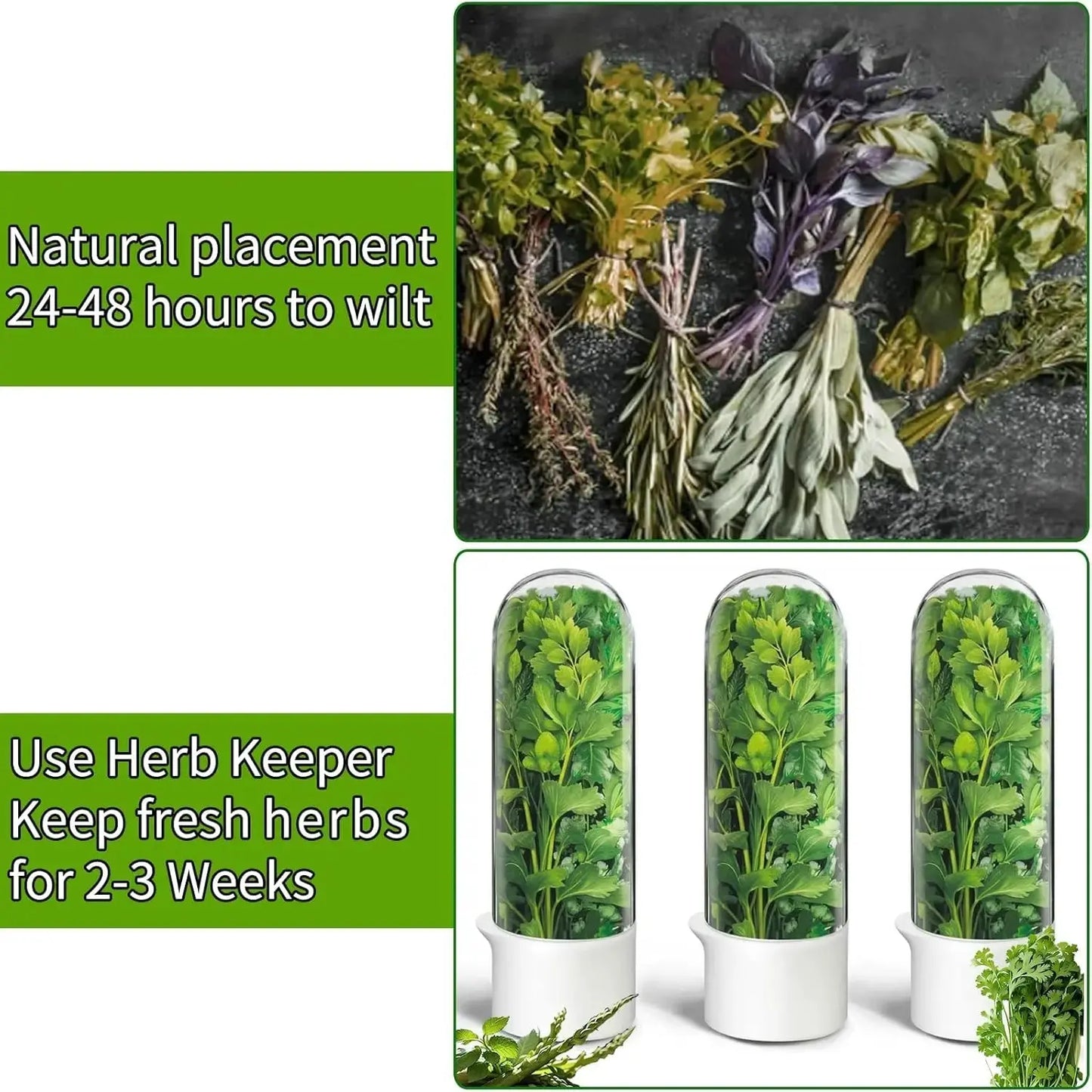 HADD FreshPod Herb Keeper - HADD