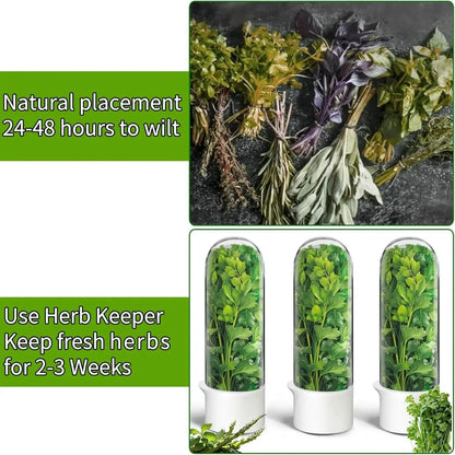 HADD FreshPod Herb Keeper - HADD
