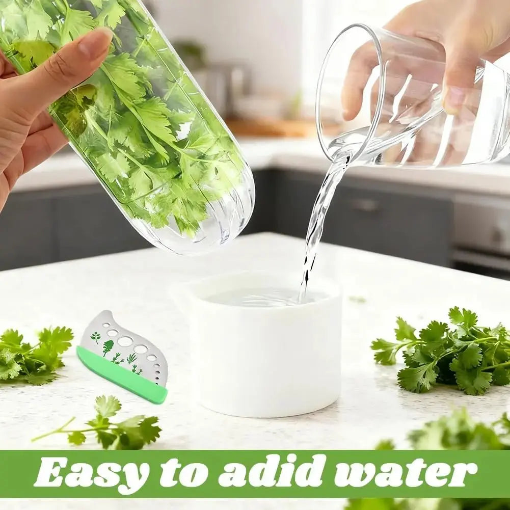 HADD FreshPod Herb Keeper - HADD